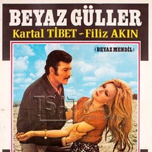 Fotoğraf Beyaz Güller