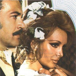 Fotoğraf Zambaklar Açarken