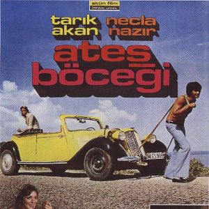 Fotoğraf Ateş Böceği