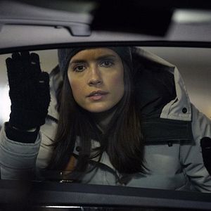 Fotoğraf Torrey DeVitto