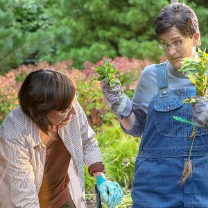 Fotoğraf Laura T. Fisher