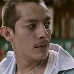 Fotoğraf Luciérnagas