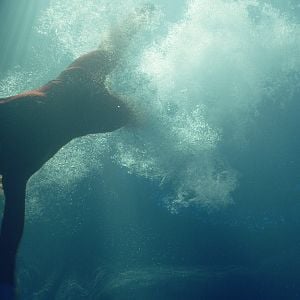 Fotoğraf Derin Korku