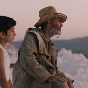 Fotoğraf Should the Wind Fall