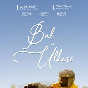 Fotoğraf Bal Ülkesi