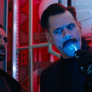 Fotoğraf Kirpi Sonic