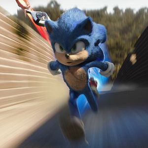 Fotoğraf Kirpi Sonic