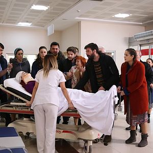 Fotoğraf Kuzey Yıldızı (ilk aşk)