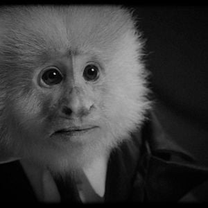 Fotoğraf What did Jack do?