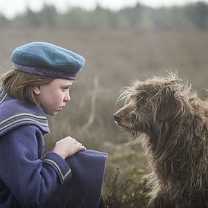 Fotoğraf Dixie Egerickx