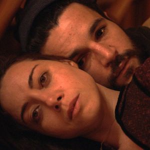 Fotoğraf Black Bear