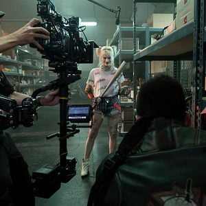 Fotoğraf Yırtıcı Kuşlar