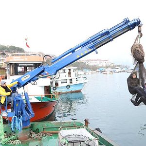 Fotoğraf Kuzey Yıldızı (ilk aşk)