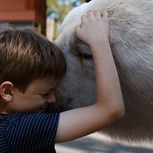 Fotoğraf Timmy Failure: Mistakes Were Made