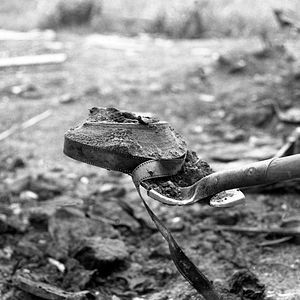 Fotoğraf Dawson City: Donmuş Zaman