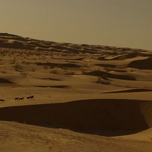 Fotoğraf Willem Dafoe