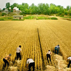 Fotoğraf Yi Ge Cun Zhuang De Wen Xue