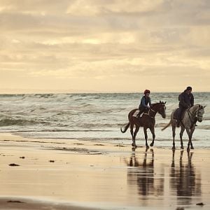 Fotoğraf Ride Like a Girl