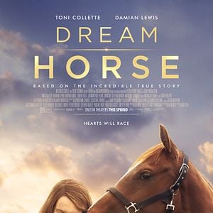 Fotoğraf Dream Horse