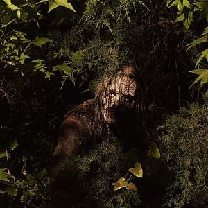 Fotoğraf The Walking Dead