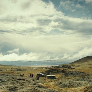 Fotoğraf Veins Of The World
