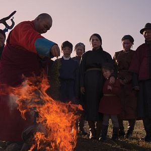 Fotoğraf Veins Of The World