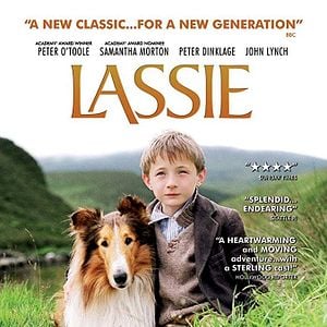 Fotoğraf Lassie