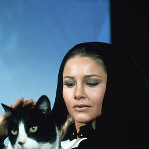 Fotoğraf The Fantastic Journey