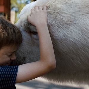 Fotoğraf Timmy Failure: Mistakes Were Made