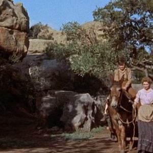 Fotoğraf Dorothy McGuire