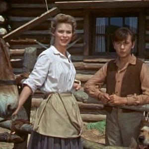 Fotoğraf Dorothy McGuire