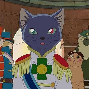 Fotoğraf Sihirli Kedi