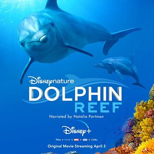 Fotoğraf Dolphin Reef