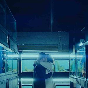 Fotoğraf Little Fish