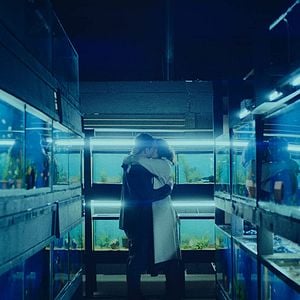 Fotoğraf Little Fish