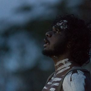 Fotoğraf The Nightingale