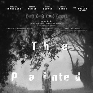 Fotoğraf Boyalı Kuş