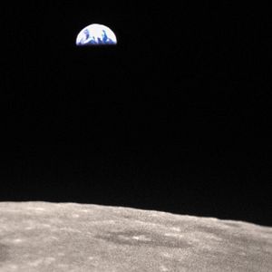 Fotoğraf Space Dogs