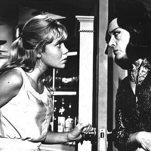 Fotoğraf The Moon-Spinners