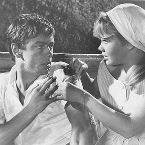 Fotoğraf Hayley Mills