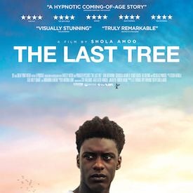 Fotoğraf The Last Tree