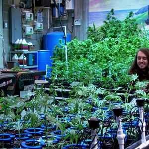 Fotoğraf Disjointed