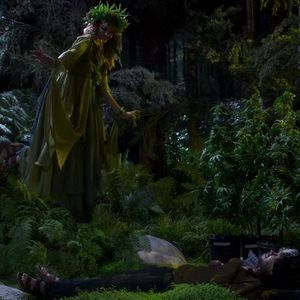 Fotoğraf Disjointed