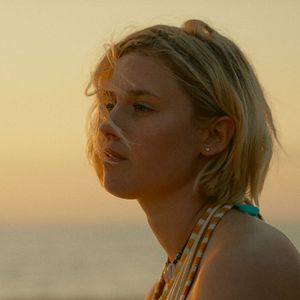 Fotoğraf De l’or pour les chiens