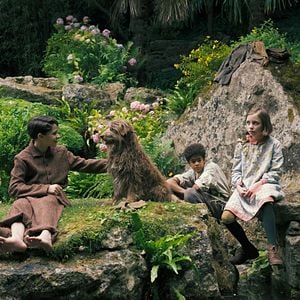 Fotoğraf Dixie Egerickx