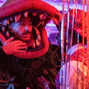 Fotoğraf Paul Scheer