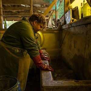 Fotoğraf Jorge García