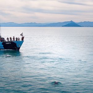 Fotoğraf Sea of Shadows