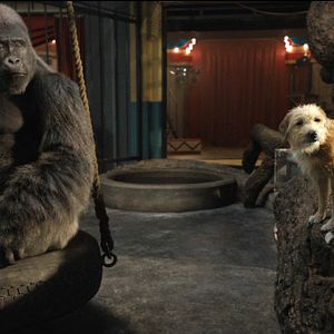 Fotoğraf The One and Only Ivan