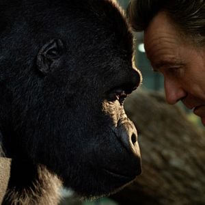 Fotoğraf Bryan Cranston